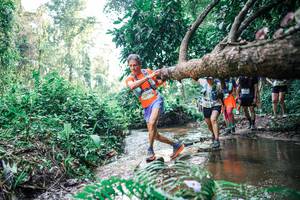 BIB: 
                            <button type="button" onclick="openModal(25458583)" class="btn btn-primary btn-sm float-right btn-popup" data-toggle="modal" data-target=".modal-high-quality">
                        <i class="fas fa-shopping-cart"></i> Add to Cart
                    </button>
                                            <button type="button" onclick="isThisMe(25458583, true)" class="btn btn-success btn-sm float-right btn-popup btn-isme hidden" data-toggle="tooltip" data-placement="bottom" title="นี่คือรูปของคุณใช่ไหม คลิกที่นี่เพื่อเอาเข้าอัลบั้ม">
                        <i class="fas fa-plus"></i> Add to album
                    </button>
                    <button type="button" onclick="isThisMe(25458583, false)" class="btn btn-warning btn-sm float-right btn-popup btn-isnotme hidden">
                        <i class="fas fa-ban"></i> Remove from album
                    </button>